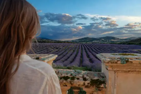 A lavender terrace calming under blue hour light