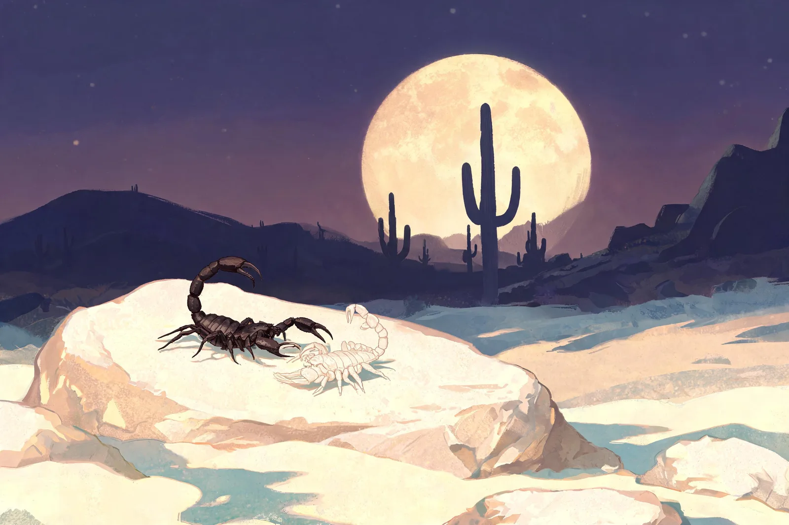 A scorpion beside its shed skin on a rock under the rising full moon