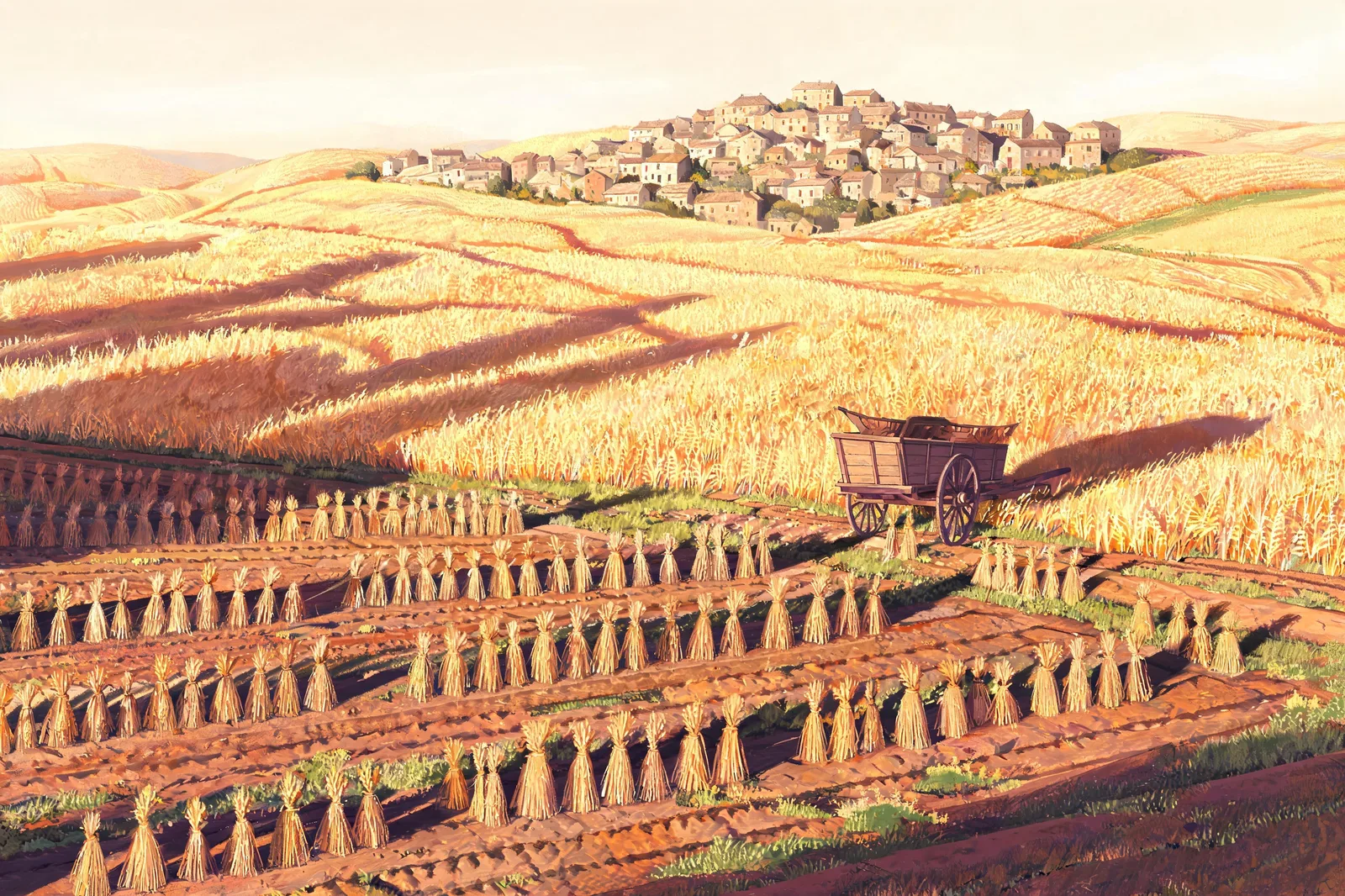 Golden wheat fields seen from above in the late afternoon sun