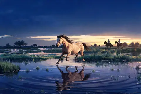 A galloping horse doubled in flooded pasture water